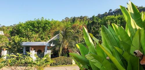 Luxury Villa On Phuket