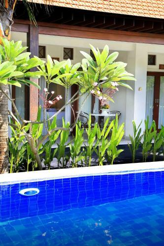 Bed & Breakfast Kaniya Bali