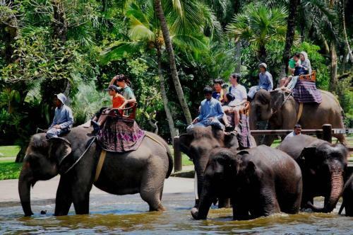 Villa Georgina Estate