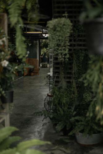 Hotel Baannokhook Home&cafe