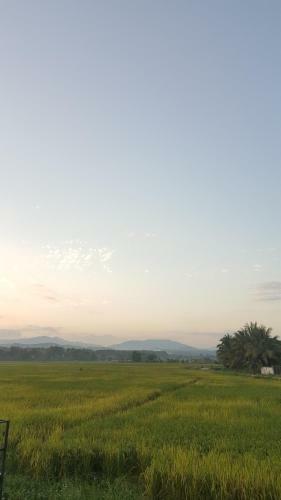 Baanlungchuhomestay