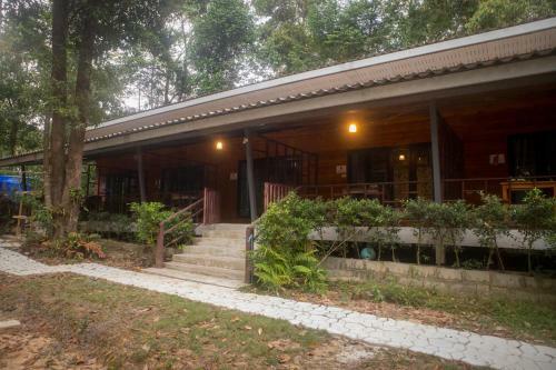 Koh Kood Forestcamp