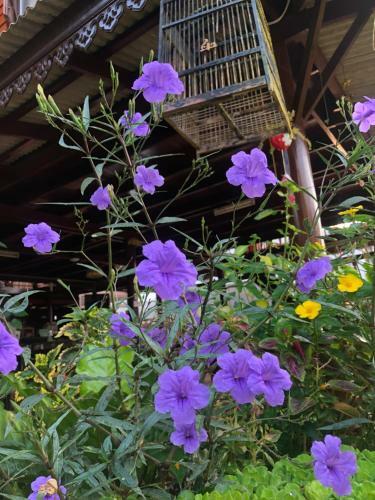 Hostal Banthai Guesthouse