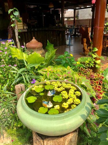 Hostal Banthai Guesthouse
