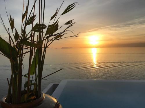Fabuleuse Villa Aliz�s, Vue Mer Avec V�hicule 4x4