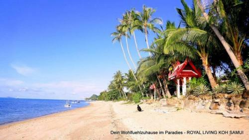 Royal Living Koh Samui - Apartment 10 With Wheel Chair Accessibility