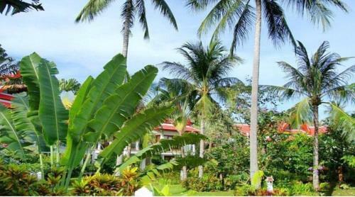 Royal Living Koh Samui - Apartment 9 With Wheel Chair Accessibility