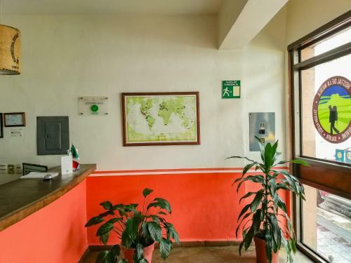 Albergue Hostal De La Niebla