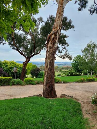 Lochinvar/camellia , Magnolia , Maple Cottage For A Relaxing Bathurst Holiday
