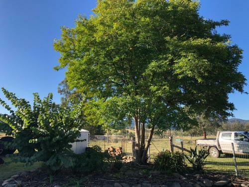 Bellbrook Historic Getaway At Bellmeadow Homestead