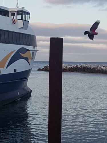 Trading Places Kangaroo Island