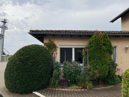 Apartamento Ferienwohnung Rheinhessenhof