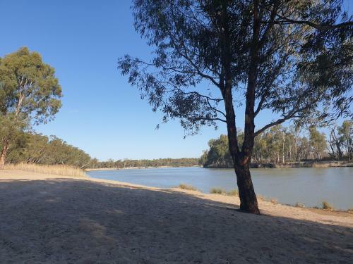 Riversands Rest Accommodation Paringa - River Box Cottage