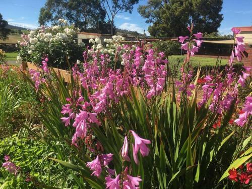 Apartamento Bridgecroft House - Spacious & Serene Family Home