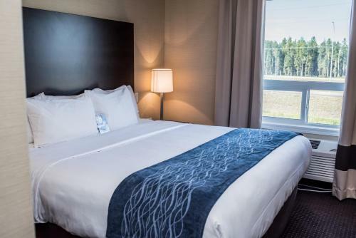 Hotel Comfort Inn & Suites