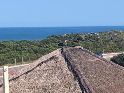 Apartamento Ocean Reef Vista