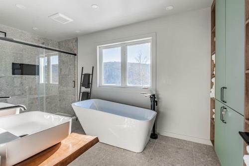 Leschaletscom Vip Piscine Privee Spa Foyer Lac