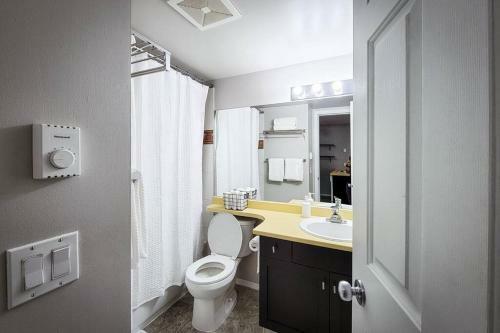 Apartamento Large Premium Condo Full Kitchen Silver Star Gondola Mountain Biking