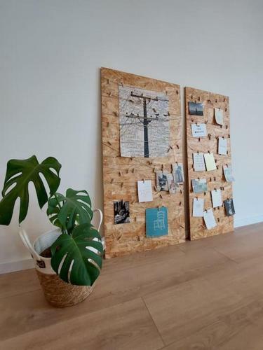 Apartamento 4 Fonteinen
