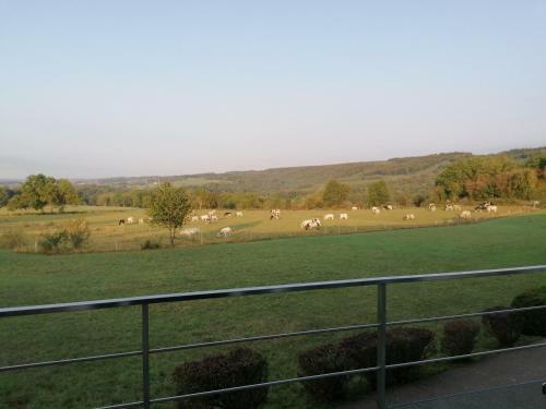 Apartamento Durbuy Bleu Ciel