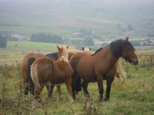 Bed & Breakfast Le Francillon