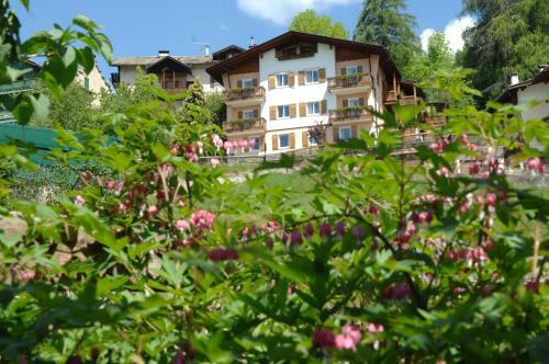 Hotel Alpino