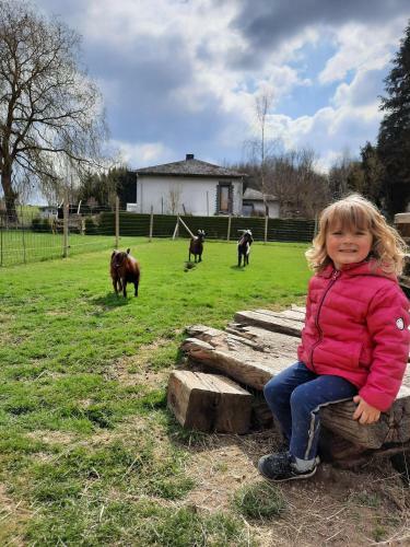 Gites La Ferme Samson