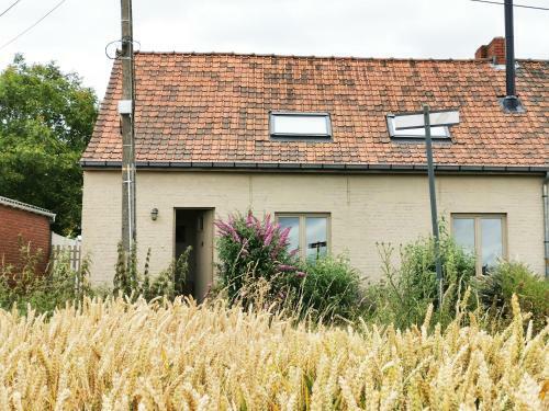 Artist House In Flanders Fields