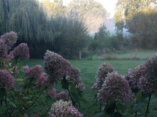 Bed & Breakfast Poortbossen