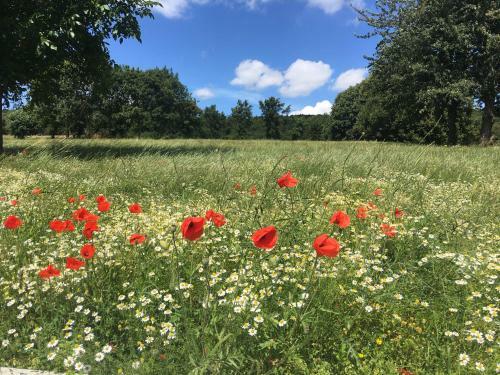 Bed & Breakfast De Kleine Mote
