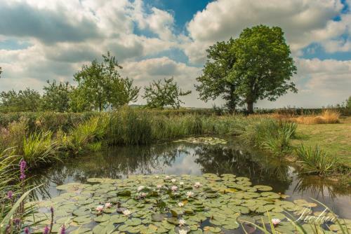 Bed & Breakfast De Kleine Mote
