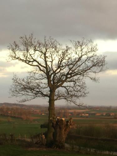 Bed & Breakfast De Kleine Mote