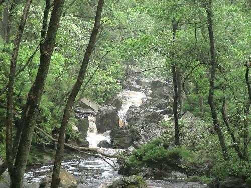 Bed & Breakfast Le Relais Des Fagnes