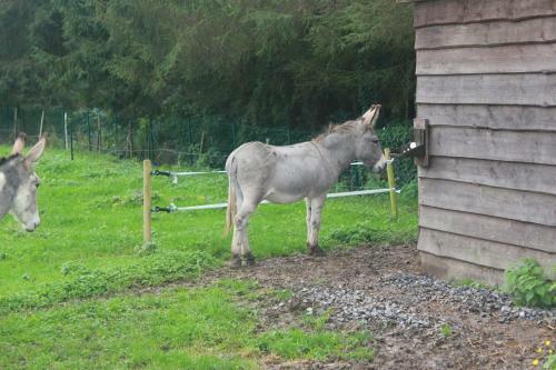 Bed & Breakfast A L'ombre Du Noyer