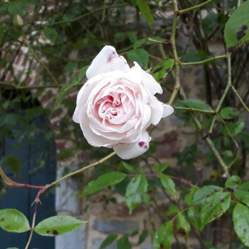 G�te de La Ferme de Seron - G�te de Charme Avec Bain Nordique
