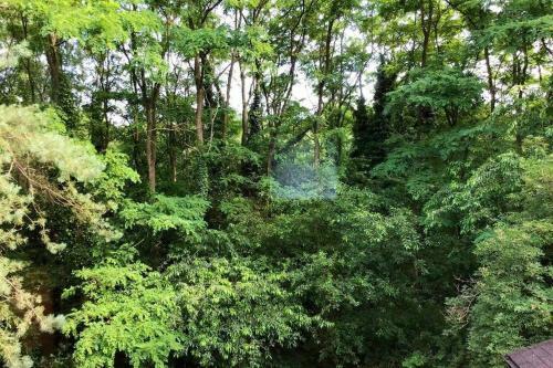 Charming House In The Woods With Private Wellness