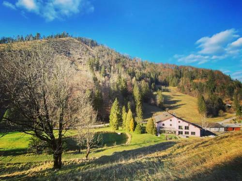 Luxury Villa With Pool, Sauna, Jacuzzi In Otscher National Park