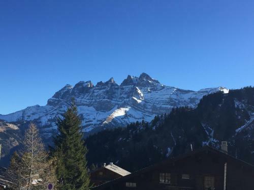 Apartamento Appartement No�cie