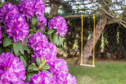 Apartamento Vila Les Kralovstvi