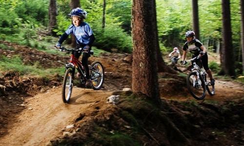 Bike Haven - Jacuzzi - Mountain Biking And Hiking