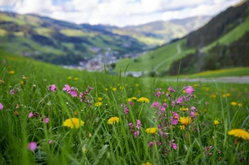 Apartamento Ferienwohnungen Perfeldhof