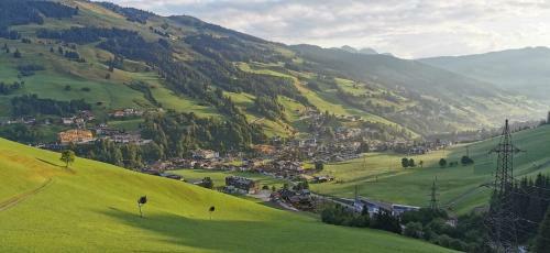 Apartamento Ferienwohnungen Perfeldhof