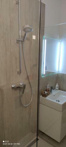 Hostal Hostinec U Zlat� L�py
