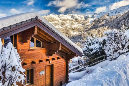 Chalet Elbaz Gorgeous Eightpax Chalet Fireplace Great Views