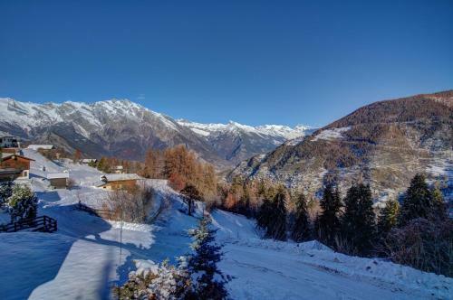 Chalet Orchidee