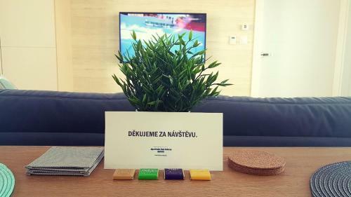 Apartm�n Nad Ar�nou Nmnm