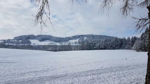 Apartm�n Nad Ar�nou Nmnm