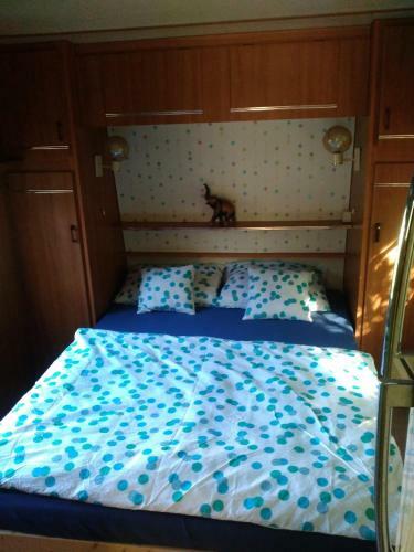 Sykovec Karavan S�korka