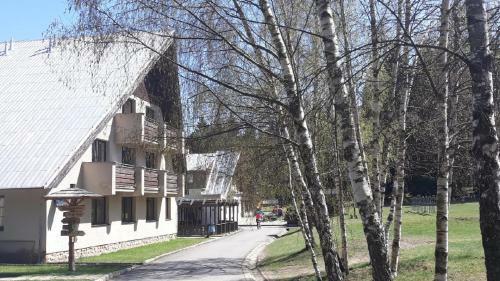 Sykovec Karavan S�korka