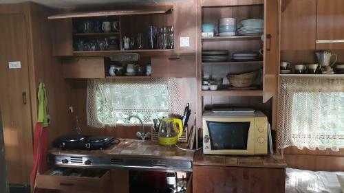 Sykovec Karavan S�korka